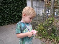 SAM 0477