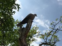 IMG 9735