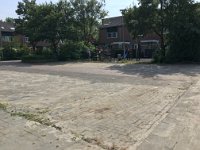 IMG 9755