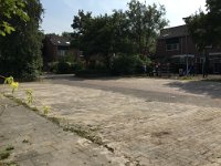 IMG 9756