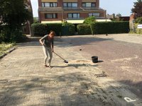 IMG 9768
