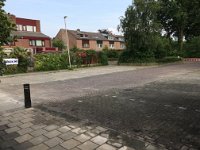 IMG 9774