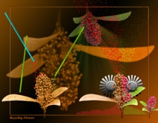 Recycling Flowers