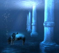 Underwater pony